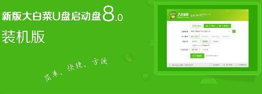 固态分区教程大白菜的种植与养护技巧（学习固态分区教程，轻松种植您的大白菜）