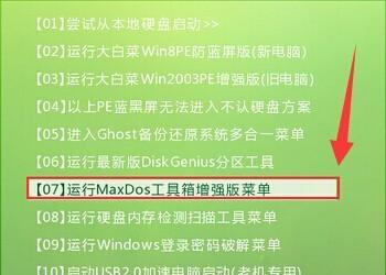 大白菜纯DOS教程（学习DOS命令，掌握电脑操作的基础技能）
