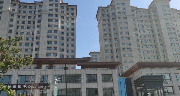 探究以信泰半导体的发展与成就（卓越品质引领半导体行业潮流）
