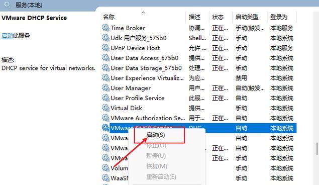 如何使用虚拟机安装Mac系统（一步步教你在虚拟机中安装Mac系统）