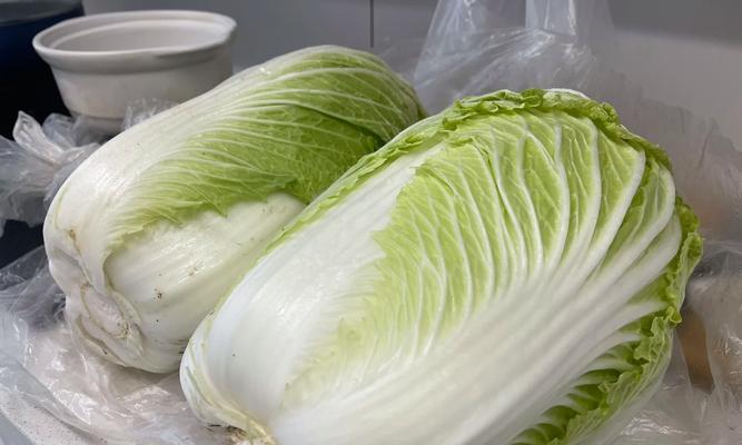 用大白菜安装苹果系统（大白菜工具的便捷性与多功能性让苹果系统安装不再困扰）