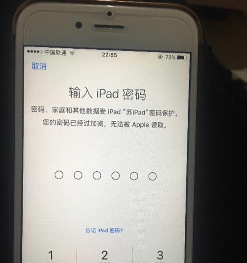 深入探究苹果iPad刷机模式（苹果iPad刷机模式的关键操作与风险防范）