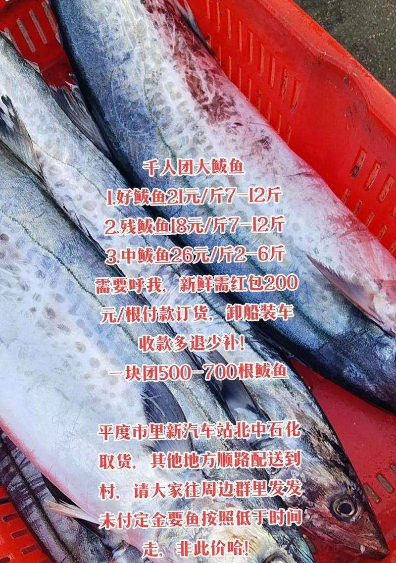 HIPAA海鲅(HIPAA海鲅为医疗机构提供全面的数据保护解决方案)