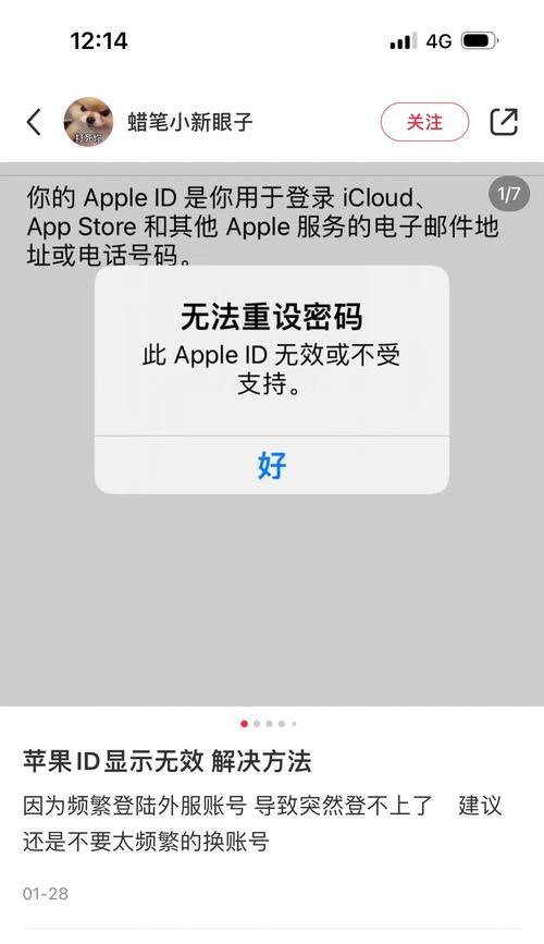 苹果ID重置电脑遇到网络错误解决方案（苹果ID重置电脑时遇到网络错误该如何应对）